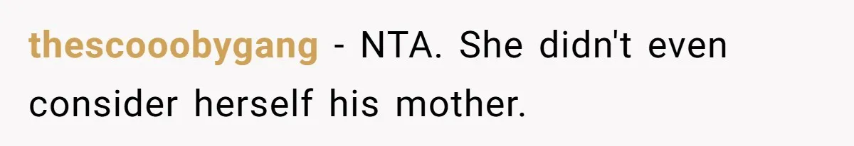 Aunt Lets Nephew Call Her Mom After His Own Parents “Got Rid” Of Him thescooobygang − NTA. She didn't even consider herself his mother.