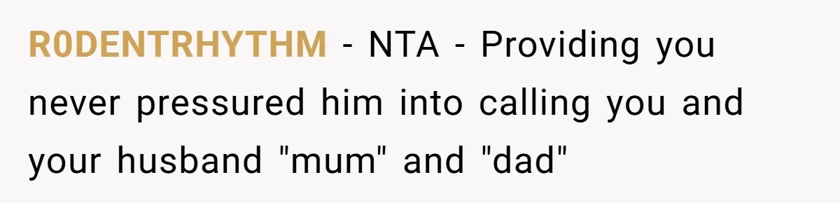 Aunt Lets Nephew Call Her Mom After His Own Parents “Got Rid” Of Him R0DENTRHYTHM − NTA - Providing you never pressured him into calling you and your husband "mum" and "dad"