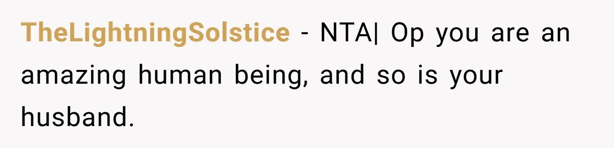 Aunt Lets Nephew Call Her Mom After His Own Parents “Got Rid” Of Him TheLightningSolstice − NTA| Op you are an amazing human being, and so is your husband.