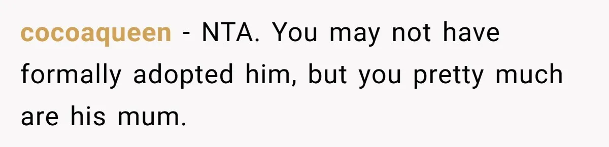 Aunt Lets Nephew Call Her Mom After His Own Parents “Got Rid” Of Him cocoaqueen − NTA. You may not have formally adopted him, but you pretty much are his mum.