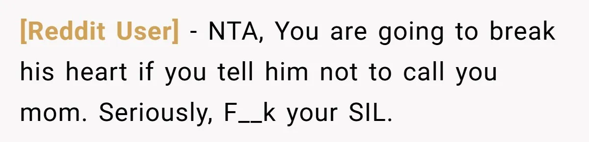 [Reddit User] − NTA, You are going to break his heart if you tell him not to call you mom. Seriously, F__k your SIL.