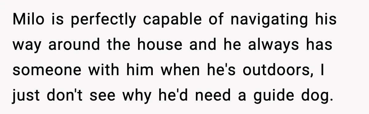 Milo is perfectly capable of navigating his way around the house and he always has someone with him when he's outdoors, I just don't see why he'd need a guide...