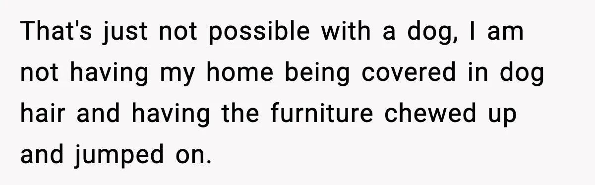 That's just not possible with a dog, I am not having my home being covered in dog hair and having the furniture chewed up and jumped on.
