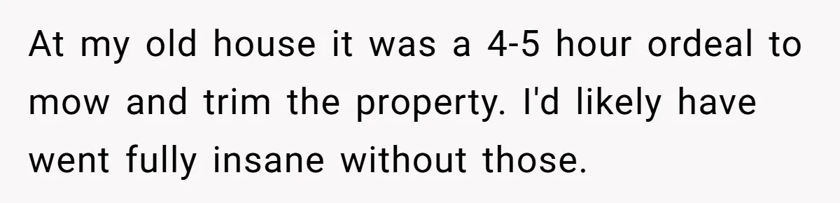 At my old house it was a 4-5 hour ordeal to mow and trim the property. I'd likely have went fully insane without those.