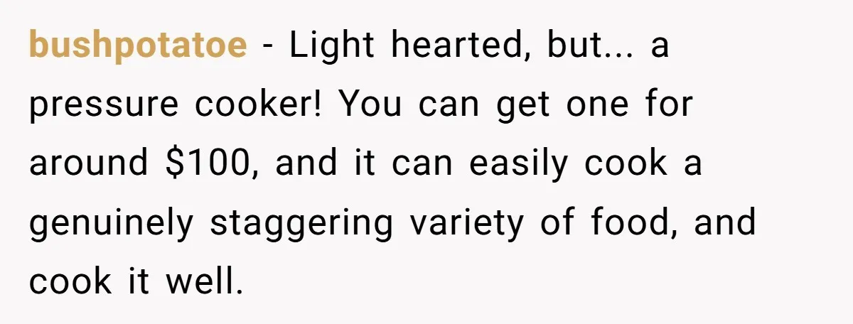 bushpotatoe − Light hearted, but... a pressure cooker! You can get one for around $100, and it can easily cook a genuinely staggering variety of food, and cook it well.