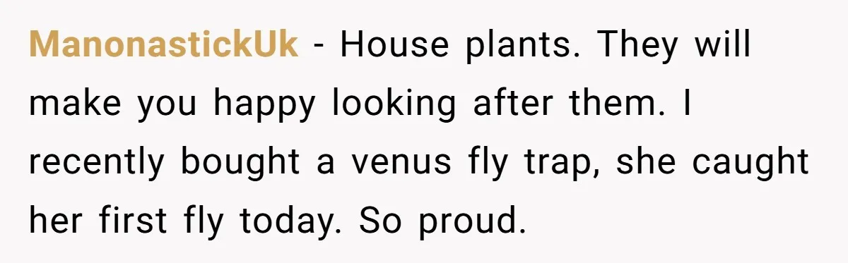ManonastickUk − House plants. They will make you happy looking after them. I recently bought a venus fly trap, she caught her first fly today. So proud.