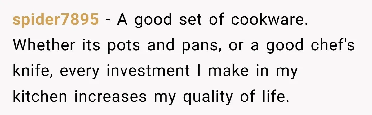 spider7895 − A good set of cookware. Whether its pots and pans, or a good chef's knife, every investment I make in my kitchen increases my quality of life.