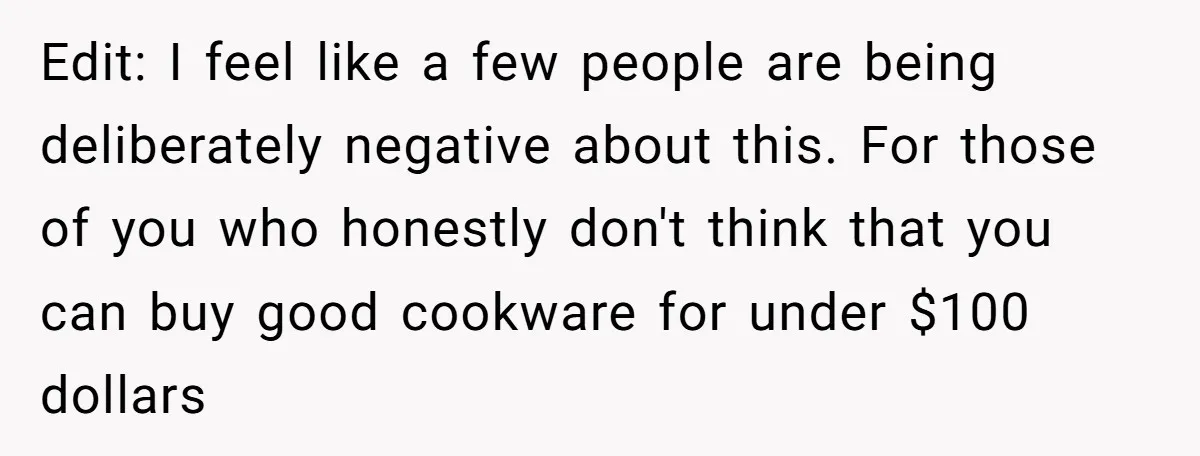 Edit: I feel like a few people are being deliberately negative about this. For those of you who honestly don't think that you can buy good cookware for under $100...