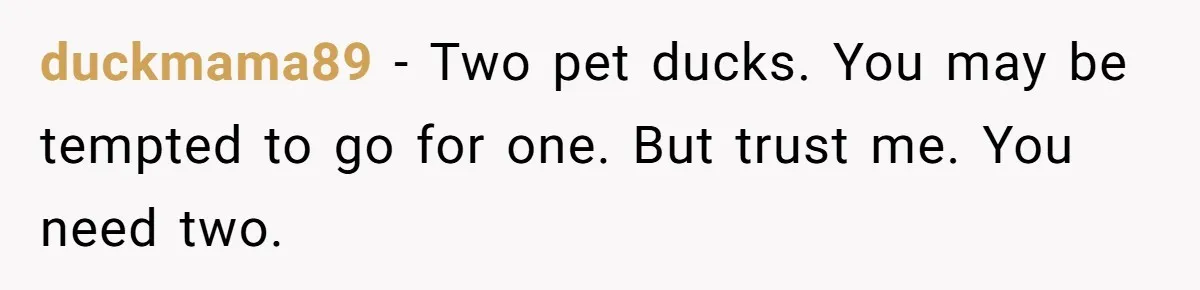 duckmama89 − Two pet ducks. You may be tempted to go for one. But trust me. You need two.