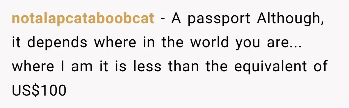notalapcataboobcat − A passport Although, it depends where in the world you are... where I am it is less than the equivalent of US$100