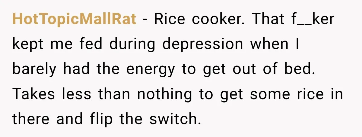 HotTopicMallRat − Rice cooker. That f__ker kept me fed during depression when I barely had the energy to get out of bed. Takes less than nothing to get some rice...
