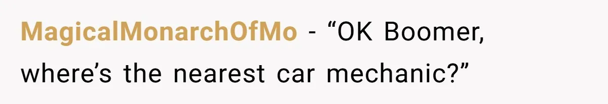MagicalMonarchOfMo − “OK Boomer, where’s the nearest car mechanic?”