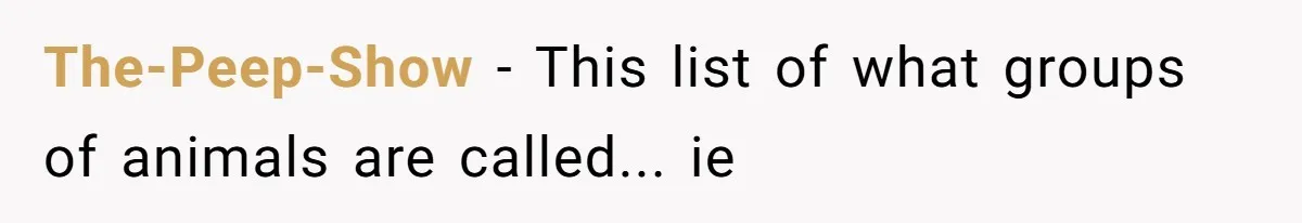The-Peep-Show − This list of what groups of animals are called... ie