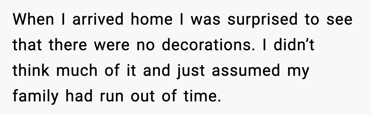 When I arrived home I was surprised to see that there were no decorations. I didn’t think much of it and just assumed my family had run out of time.