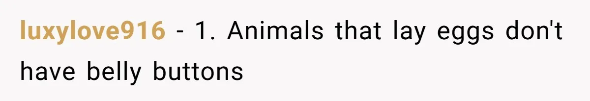 luxylove916 − 1. Animals that lay eggs don't have belly buttons