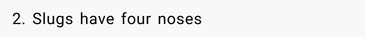 2. Slugs have four noses