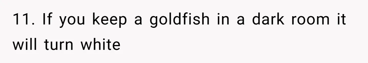 11. If you keep a goldfish in a dark room it will turn white