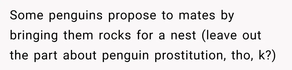 Some penguins propose to mates by bringing them rocks for a nest (leave out the part about penguin prostitution, tho, k?)