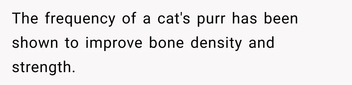 The frequency of a cat's purr has been shown to improve bone density and strength.