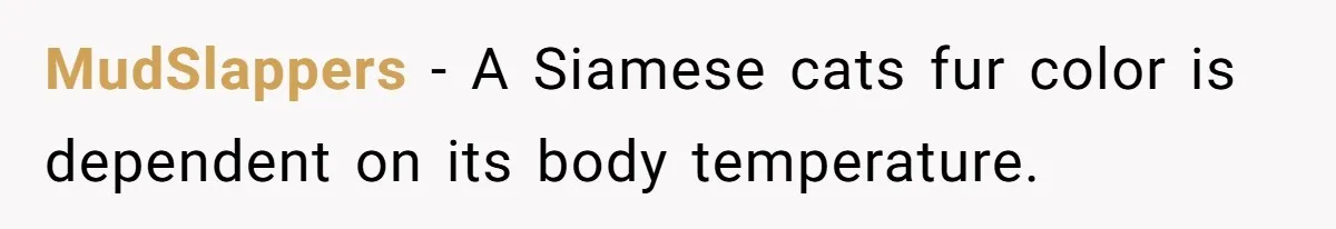 MudSlappers − A Siamese cats fur color is dependent on its body temperature.