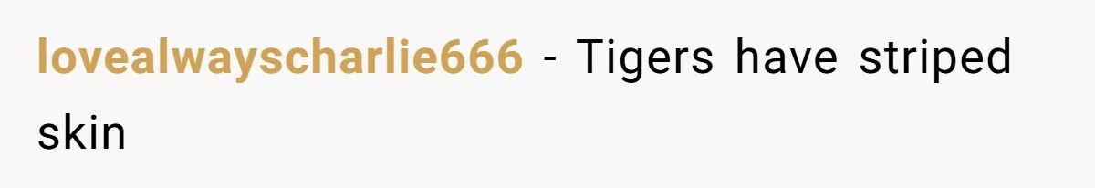 lovealwayscharlie666 − Tigers have striped skin