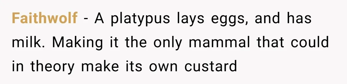 Faithwolf − A platypus lays eggs, and has milk. Making it the only mammal that could in theory make its own custard