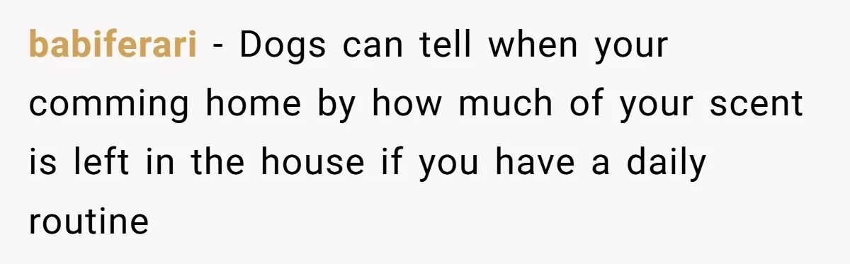 babiferari − Dogs can tell when your comming home by how much of your scent is left in the house if you have a daily routine