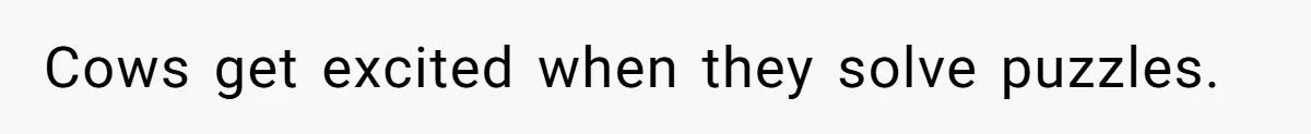 Cows get excited when they solve puzzles.