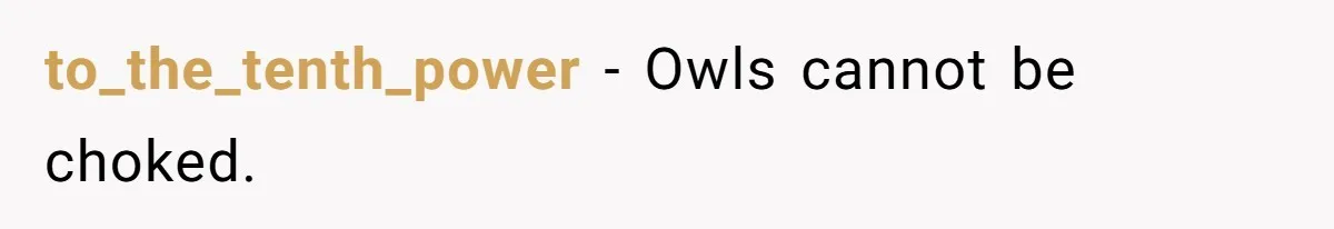 to_the_tenth_power − Owls cannot be choked.