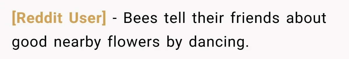 [Reddit User] − Bees tell their friends about good nearby flowers by dancing.