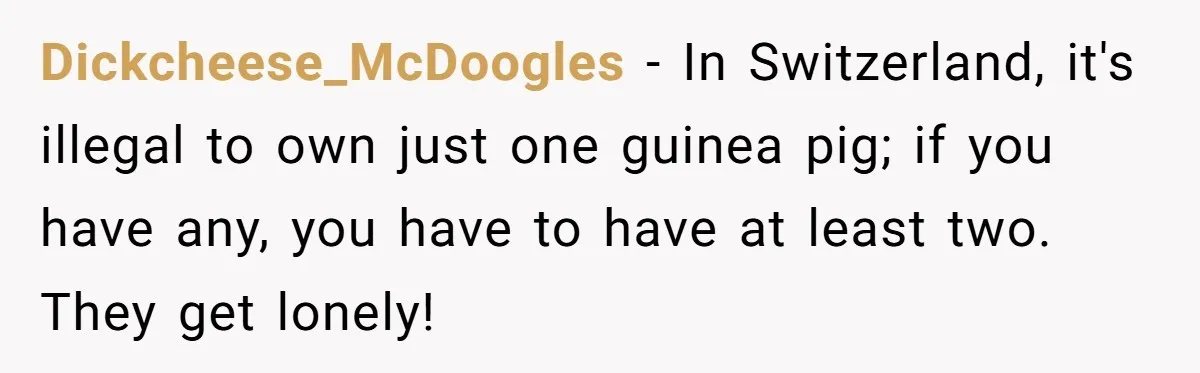 Dickcheese_McDoogles − In Switzerland, it's illegal to own just one guinea pig; if you have any, you have to have at least two. They get lonely!