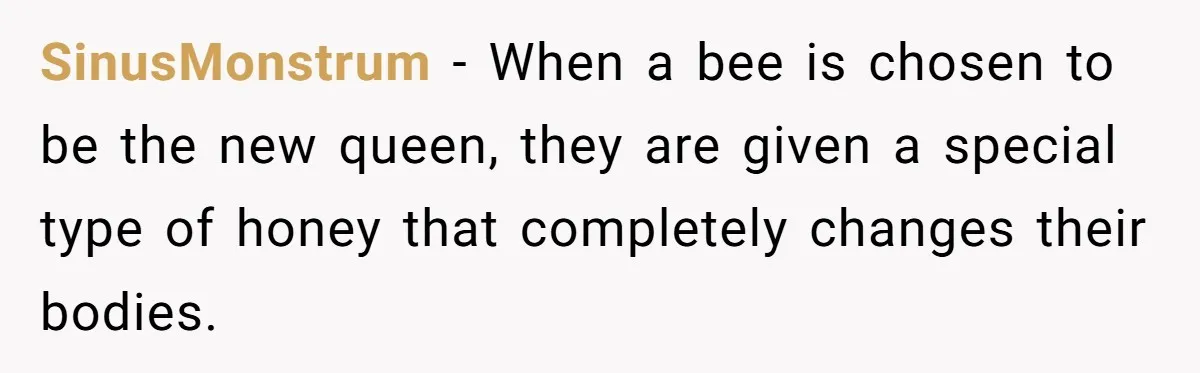 SinusMonstrum − When a bee is chosen to be the new queen, they are given a special type of honey that completely changes their bodies.