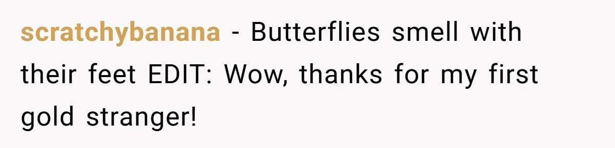 scratchybanana − Butterflies smell with their feet EDIT: Wow, thanks for my first gold stranger!