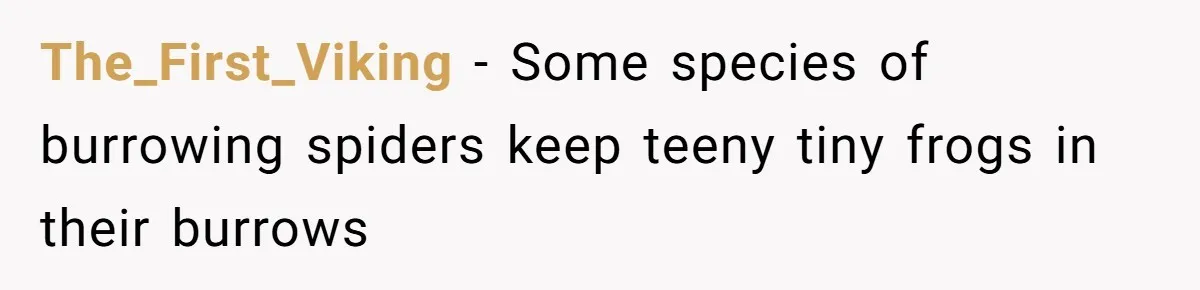 The_First_Viking − Some species of burrowing spiders keep teeny tiny frogs in their burrows