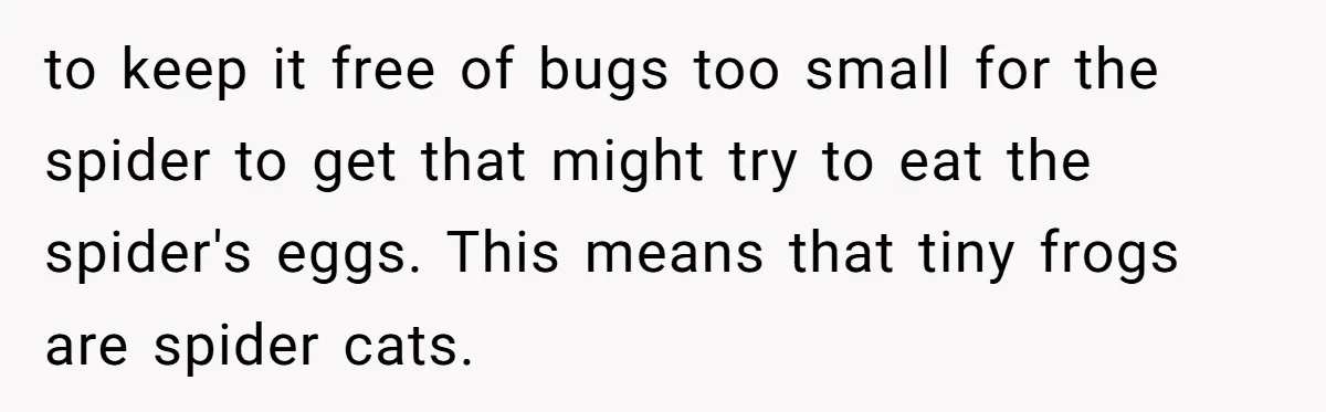 to keep it free of bugs too small for the spider to get that might try to eat the spider's eggs. This means that tiny frogs are spider cats.