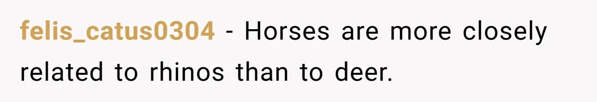felis_catus0304 − Horses are more closely related to rhinos than to deer.