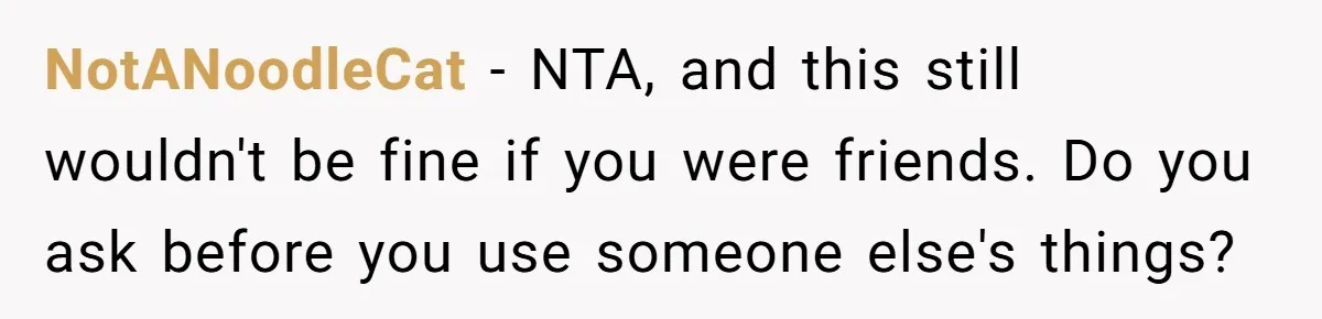 NotANoodleCat − NTA, and this still wouldn't be fine if you were friends. Do you ask before you use someone else's things?