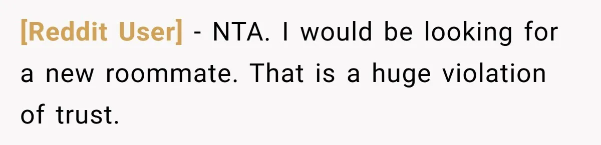 [Reddit User] − NTA. I would be looking for a new roommate. That is a huge violation of trust.