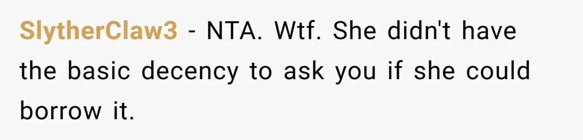 SlytherClaw3 − NTA. Wtf. She didn't have the basic decency to ask you if she could borrow it.