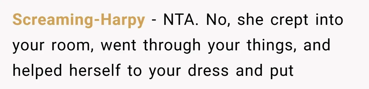 Screaming-Harpy − NTA. No, she crept into your room, went through your things, and helped herself to your dress and put