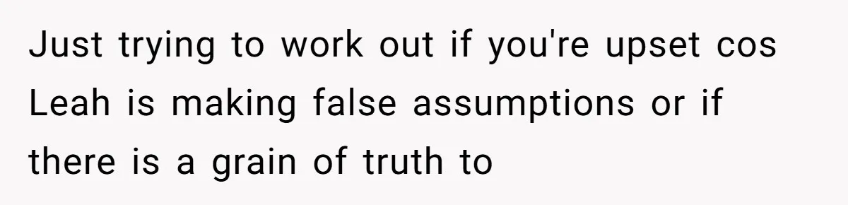 Just trying to work out if you're upset cos Leah is making false assumptions or if there is a grain of truth to