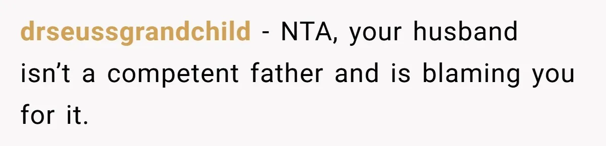 drseussgrandchild − NTA, your husband isn’t a competent father and is blaming you for it.
