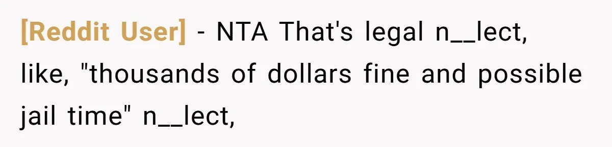 [Reddit User] − NTA That's legal n__lect, like, "thousands of dollars fine and possible jail time" n__lect,