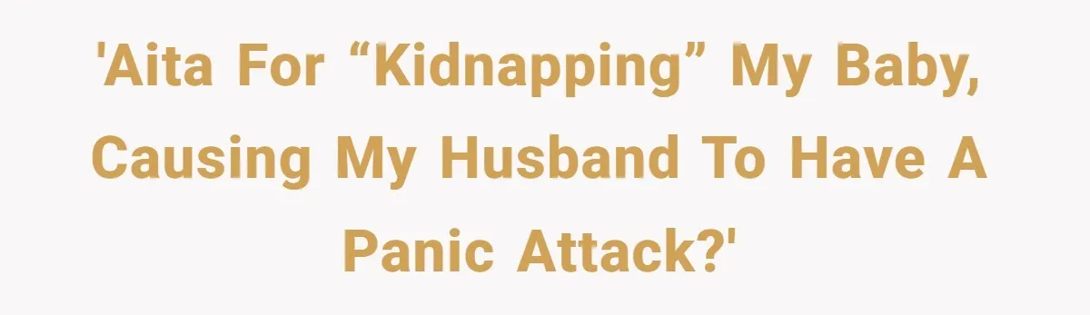 'AITA for “kidnapping” my baby, causing my husband to have a panic attack?'