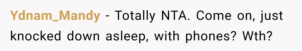 Ydnam_Mandy − Totally NTA. Come on, just knocked down asleep, with phones? Wth?