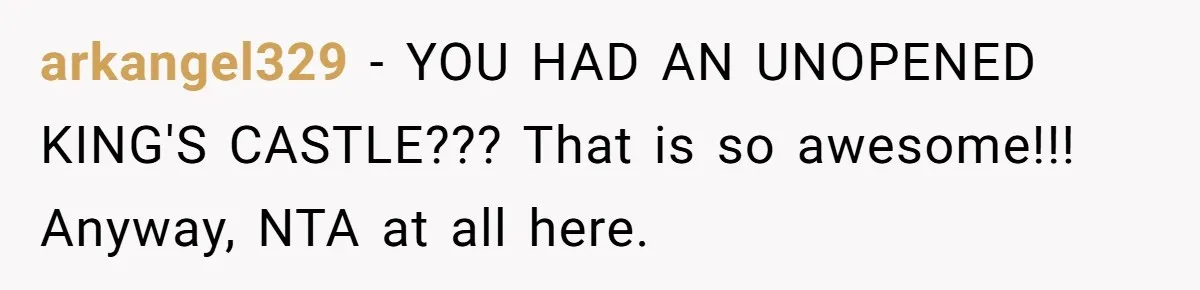 Man Sues Ex and Her Boyfriend After They Steal And Glue His Rare LEGO Sets arkangel329 − YOU HAD AN UNOPENED KING'S CASTLE??? That is so awesome!!! Anyway, NTA at all here.