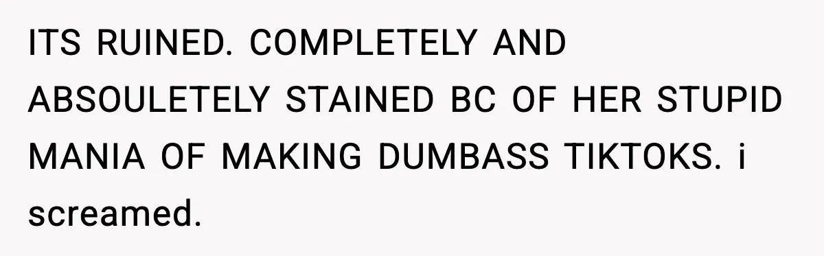 ITS RUINED. COMPLETELY AND ABSOULETELY STAINED BC OF HER STUPID MANIA OF MAKING DUMBASS TIKTOKS. i screamed.