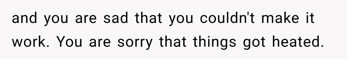 and you are sad that you couldn't make it work. You are sorry that things got heated.