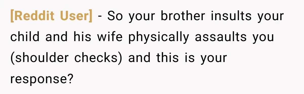 [Reddit User] − So your brother insults your child and his wife physically assaults you (shoulder checks) and this is your response?