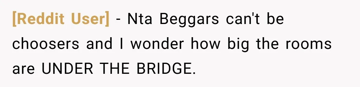 [Reddit User] − Nta Beggars can't be choosers and I wonder how big the rooms are UNDER THE BRIDGE.